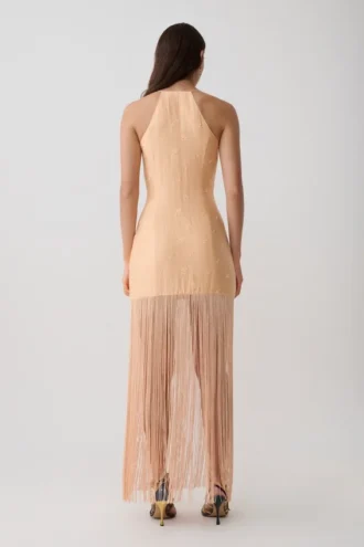 Abigail V Neck Fringe Maxi Dress – Orange