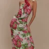 Rosalia Cowl Neck Maxi Dress – Sonia Rose Print Rosalia Cowl Neck Maxi Dress – Sonia Rose Print
