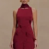 Skyler Suiting Embroidered Mini Dress – Wine